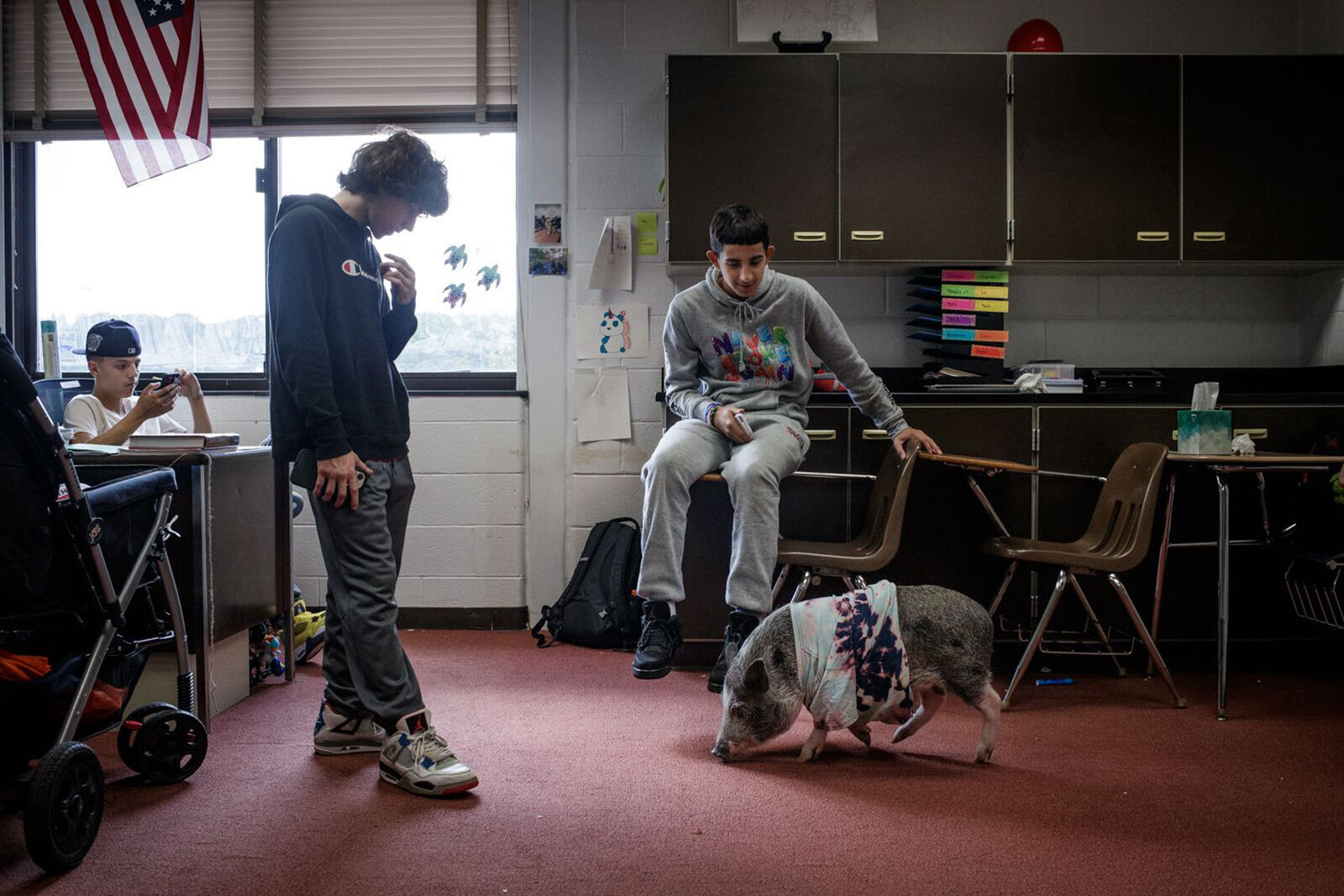 KIDS-TEENS-THERAPY-PIG-3-HC